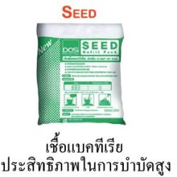 SEED